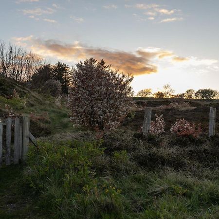 Reethus Keitum Mit Kamin Und Suedgarten In Direkter Wattnaehe Extérieur photo