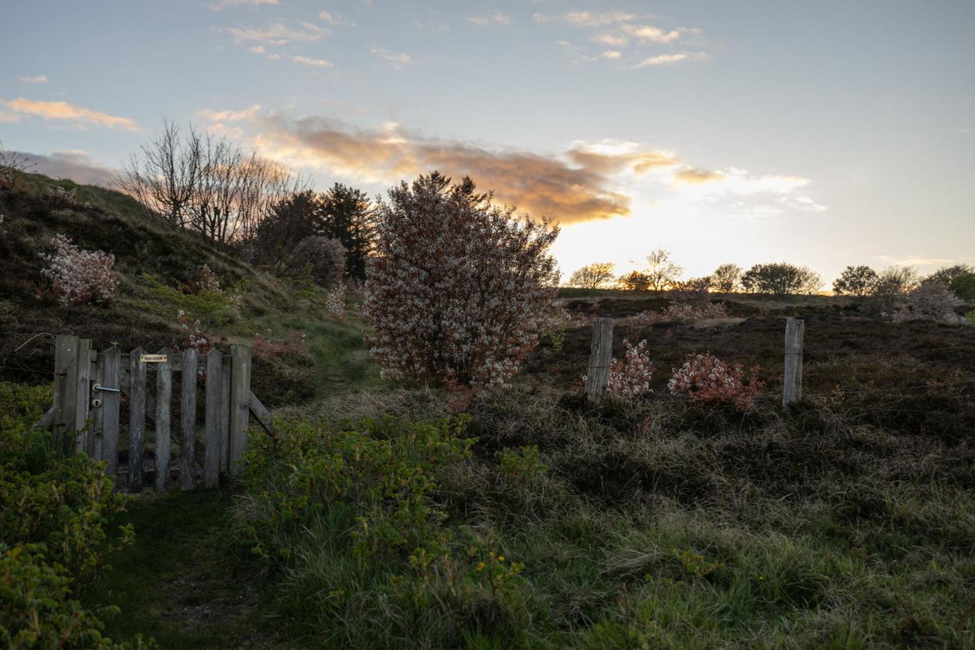 Reethus Keitum Mit Kamin Und Suedgarten In Direkter Wattnaehe Extérieur photo
